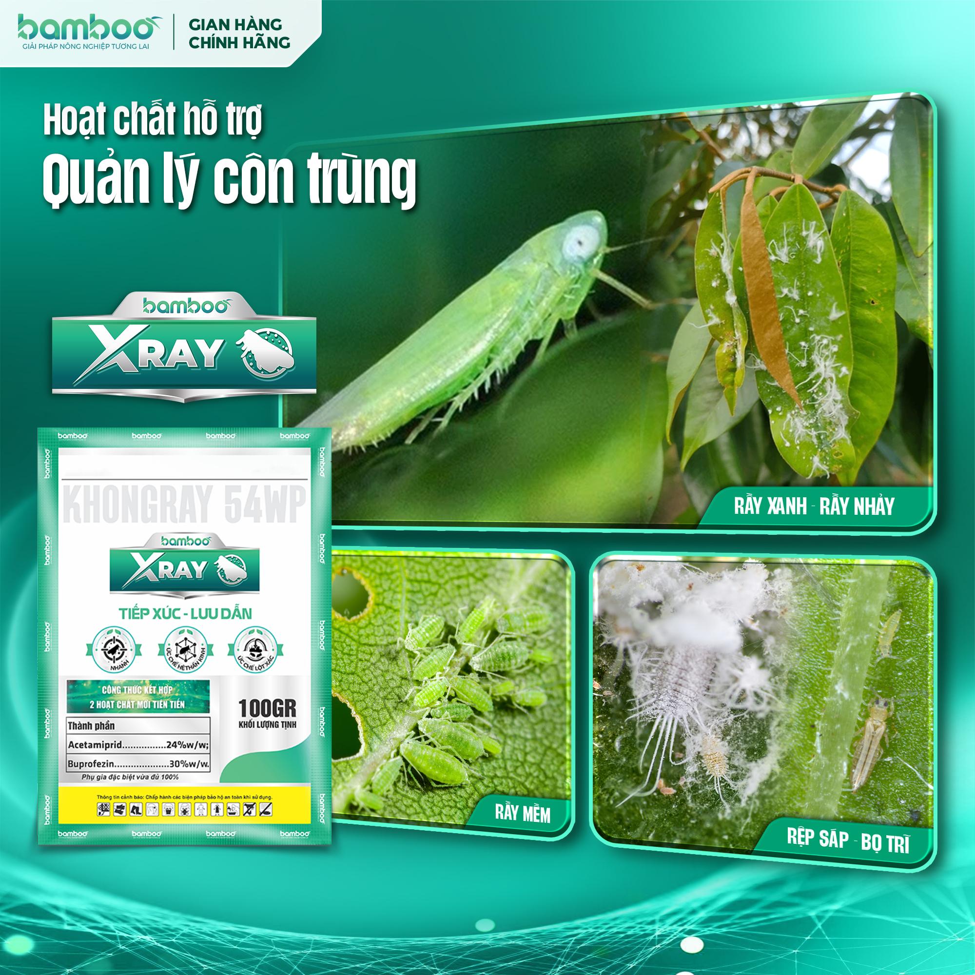 BAMBOO XRAY - Thuốc Phòng Trị Rầy, Rệp Sáp, Bọ Trĩ - Côn trùng chích hút hiệu quả